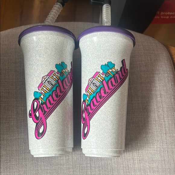 2x Vintage Graceland Souvenir Tumblers with Straws - Picture 3 of 4